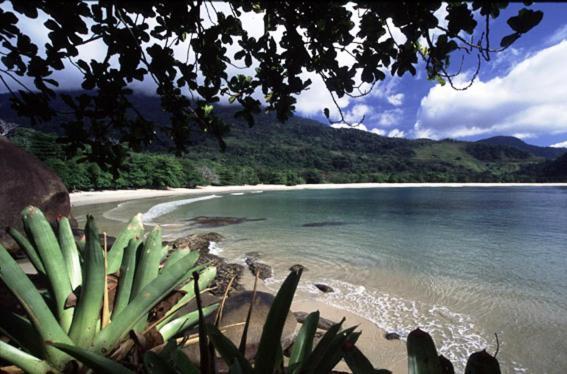 Recanto Tangara - Chale - Praia Do Felix Ubatuba Eksteriør billede